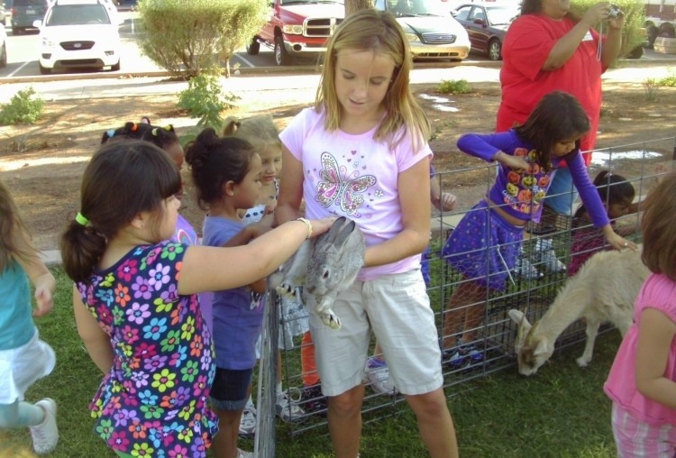 Pony Rides and Petting Zoo