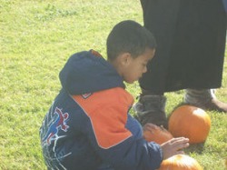 Additional Pumpkin Patch